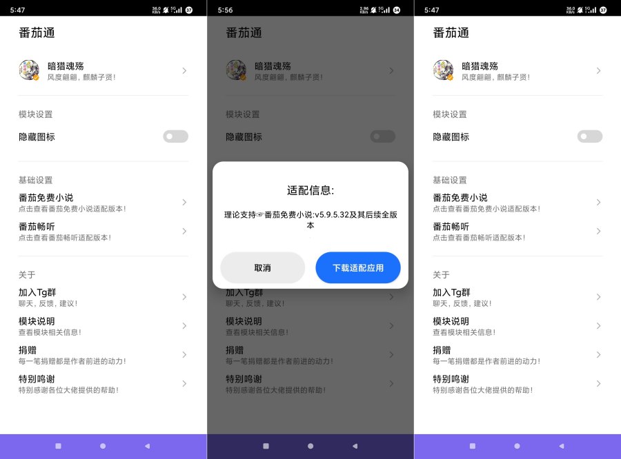 番茄通1.0.4番茄小说番茄畅听VIP解锁模块-龙腾资源站