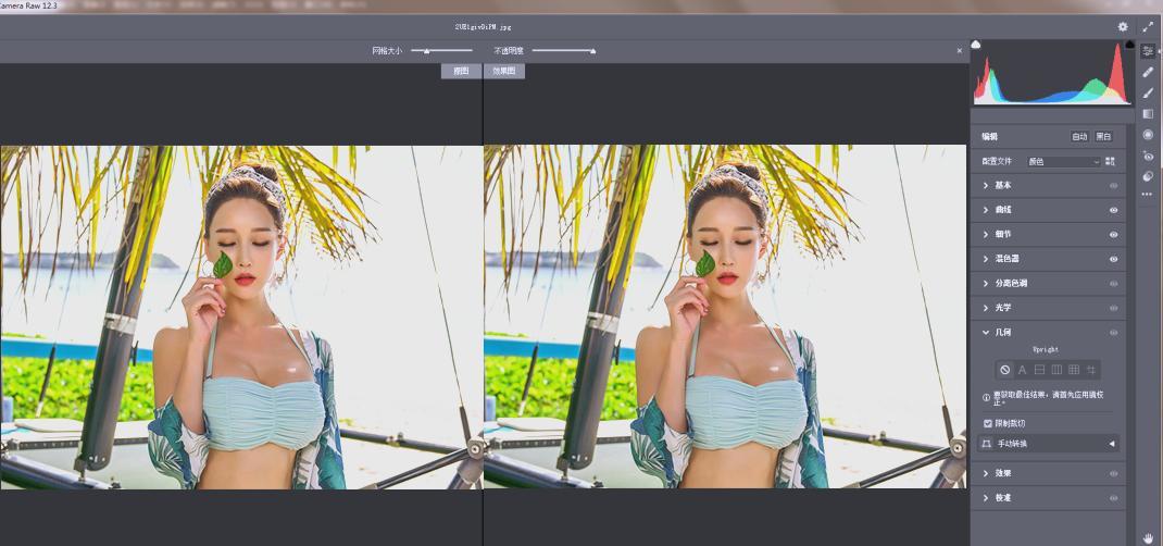 Adobe Camera Raw(RAW处理工具)v18.0.0中文版-龙腾资源站