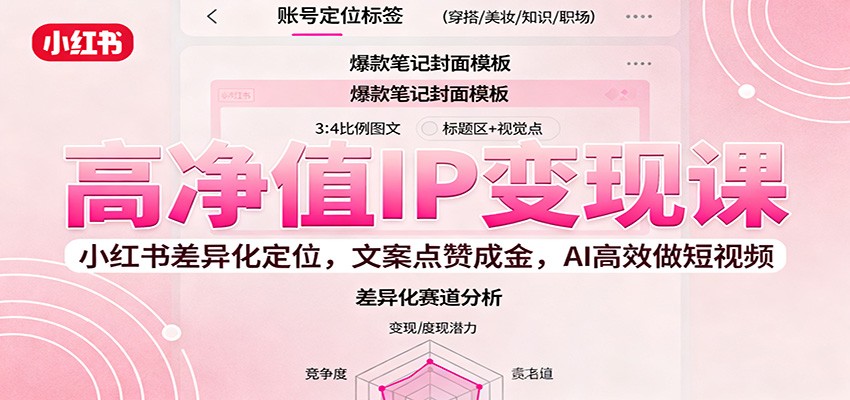 高净值IP变现课:小红书差异化定位,文案点赞成金, AI高效做短视频-龙腾资源站