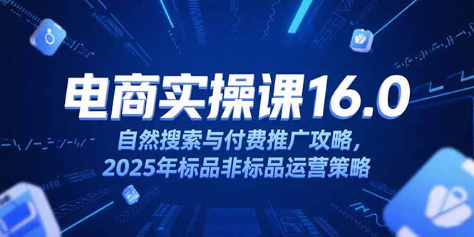 淘宝电商运营课16.0，自然搜索与付费推广攻略，2025年标品非标品运营策略-龙腾资源站
