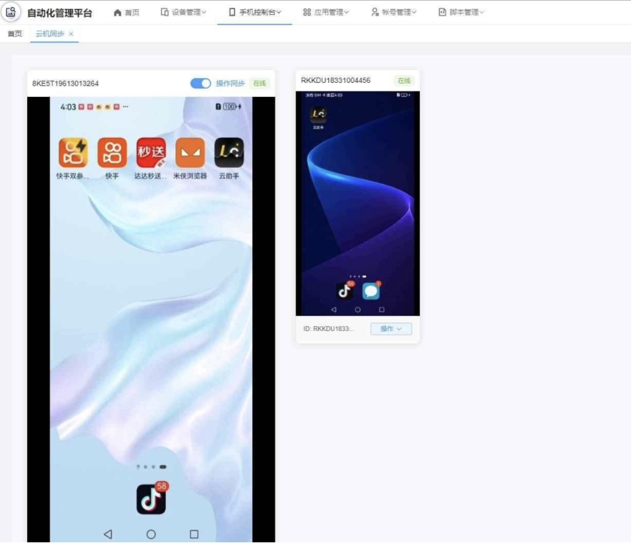 云手机群控系统源码 云手机多开群控 自动化管理程序源码-龙腾资源站