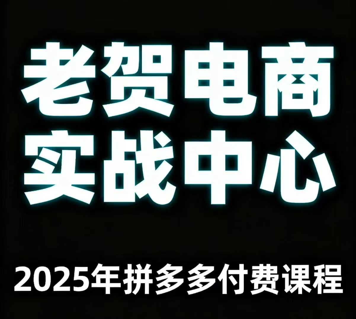 老贺电商2025年拼多多付费课程，用通俗易懂的方法告诉你多多怎么玩-龙腾资源站