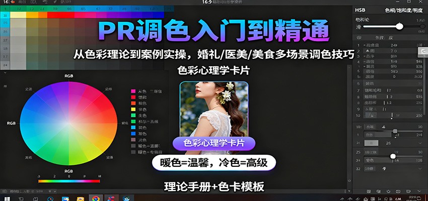 PR调色入门到精通：从色彩理论到案例实操，婚礼/医美/美食多场景调色技巧-龙腾资源站