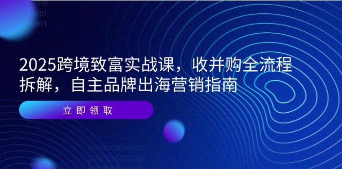 2025跨境致富实战课，收并购全流程拆解，自主品牌出海营销指南|龙腾资源站