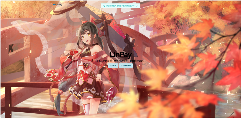2024首发最新LinPay码支付免授权版，LinPay码支付官网，码支付，源支付-龙腾资源站