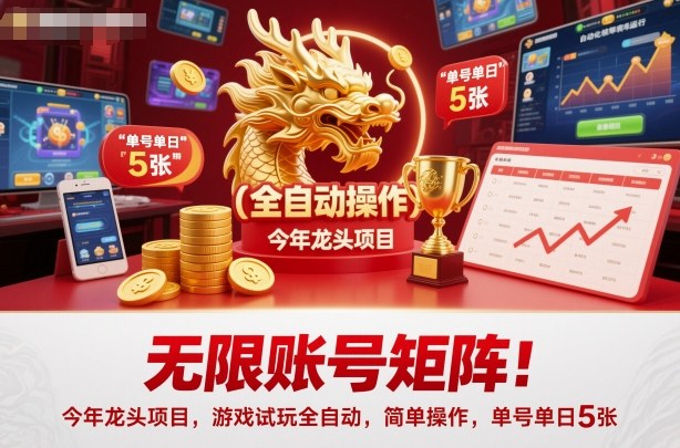 无限账号矩阵！今年龙头项目，游戏试玩全自动，简单操作，单号单日5张【揭秘】-龙腾资源站