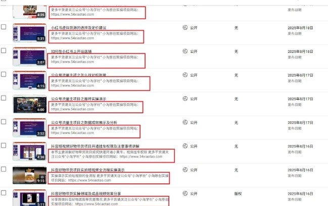 2025油管引流术，分享我是如何通过油管做引流的|龙腾资源站